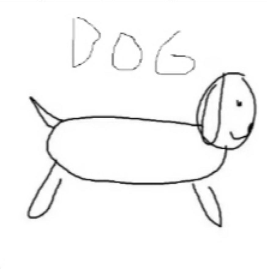 Dog Coin Art